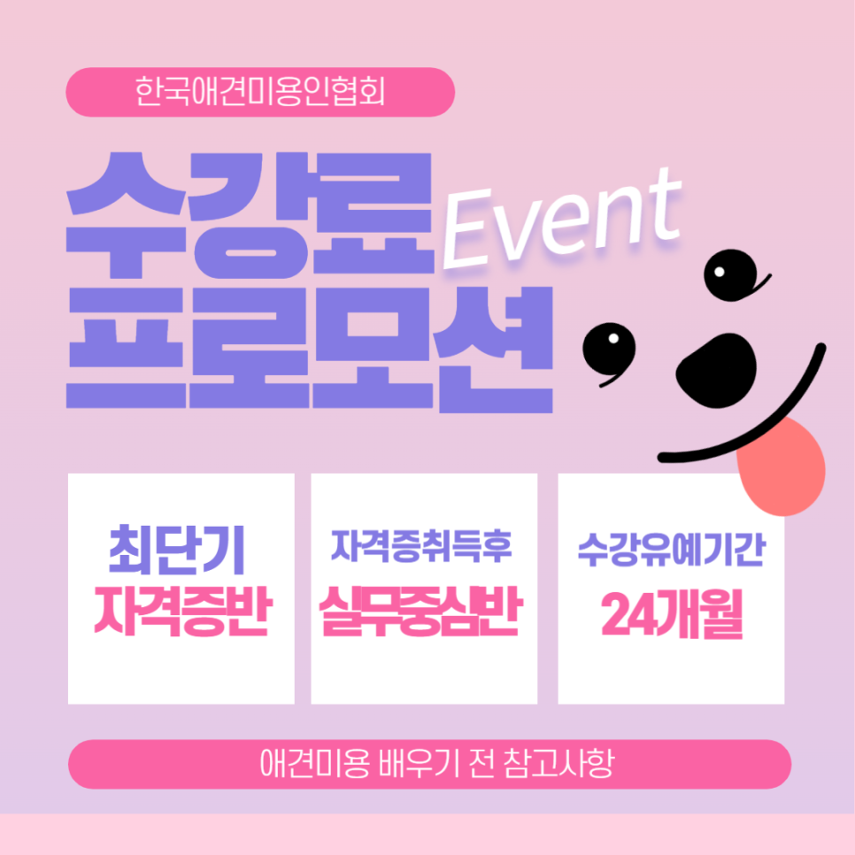 부산 애견미용학원: 실전 위주 교육으로 실력 향상 — 사진 3