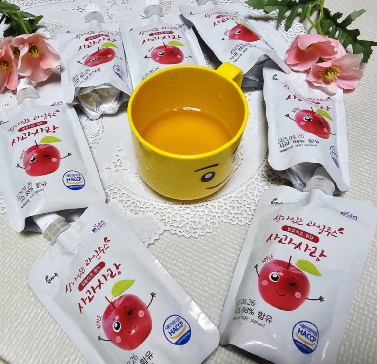 법인솔티 이미지