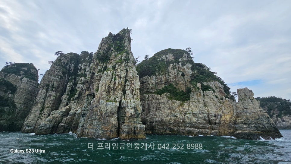 금강자연약초 이미지