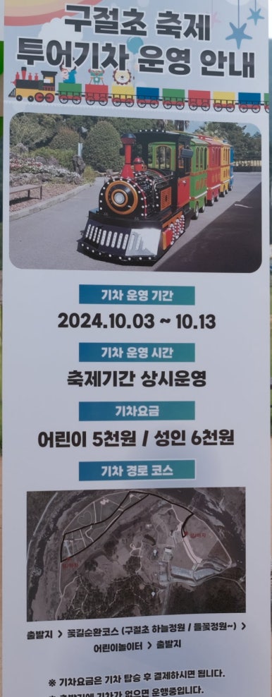 구절초 꽃축제 투어기차 이미지