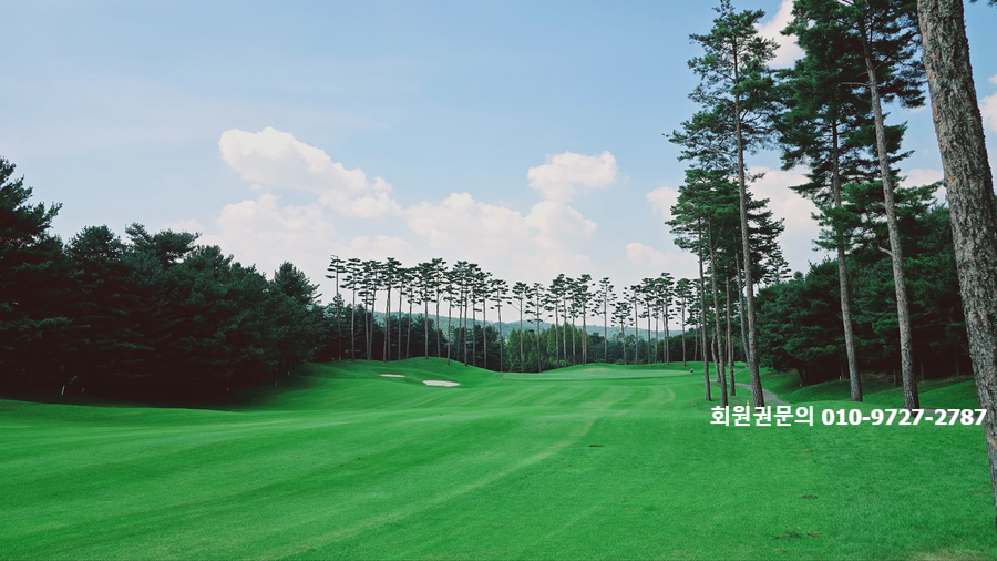 체리코스 이미지
