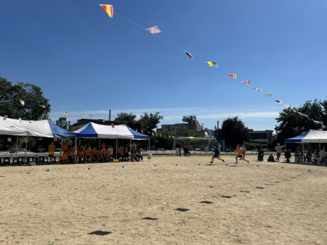 성신초등학교 이미지