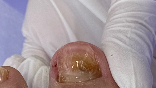 디어넬 뷰티 이미지