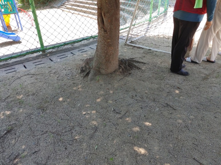 논산내동초등학교 이미지