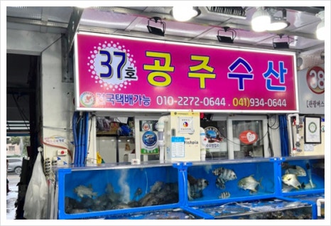 대천등대수산 이미지