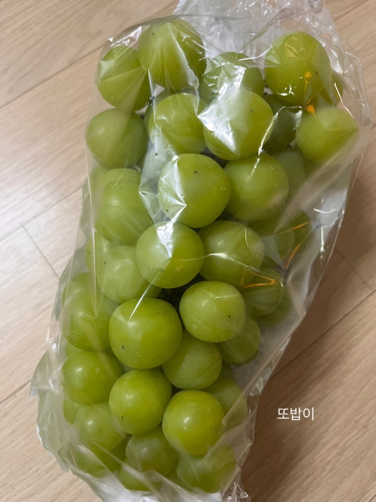 샤인노래공원 이미지