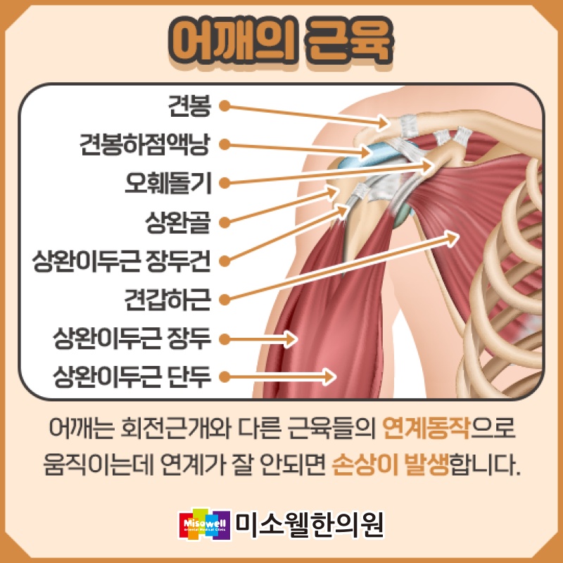미소웰한의원 이미지