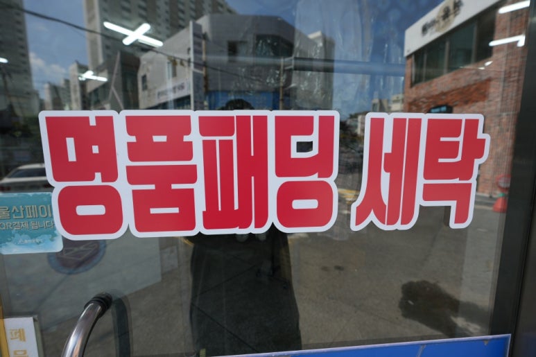 개미세탁 이미지
