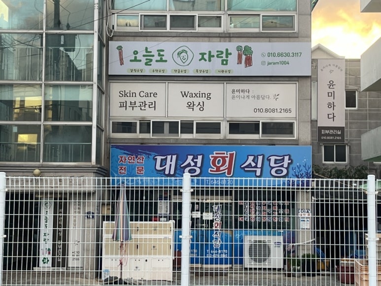 윤미하다 이미지
