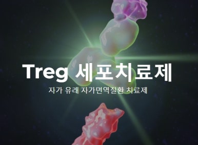 세종티에스 이미지