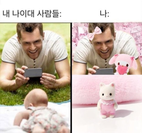 타코파 이미지