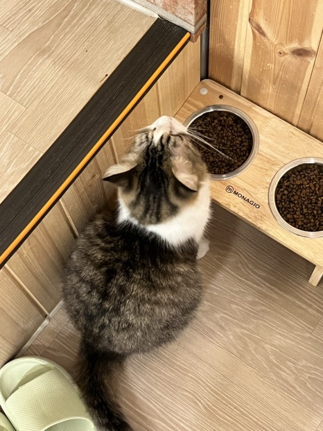 홍지랜드 이미지