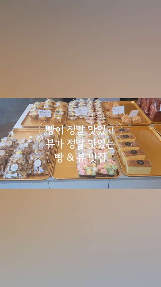 더마레104 이미지