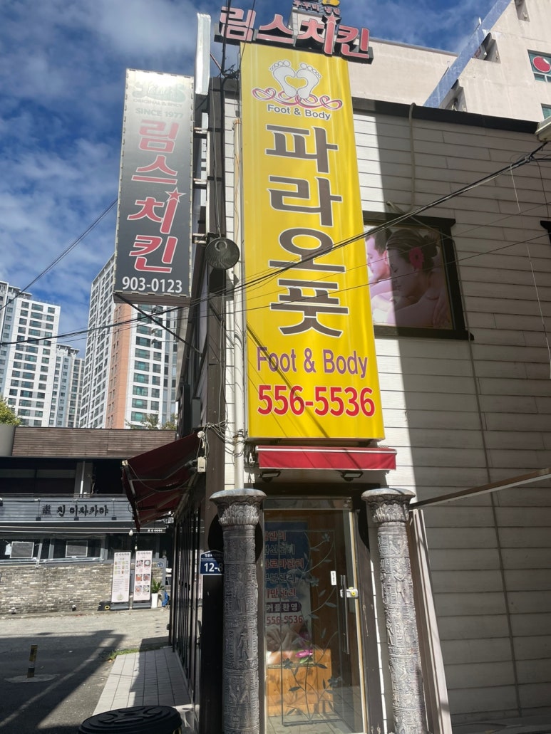 파라오풋 이미지