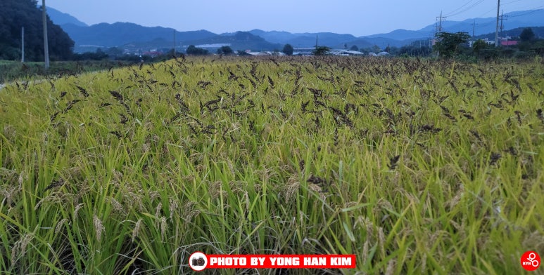 (주)천일택배 이미지