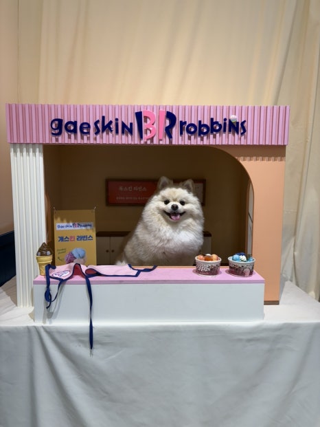 몽실이네 이미지