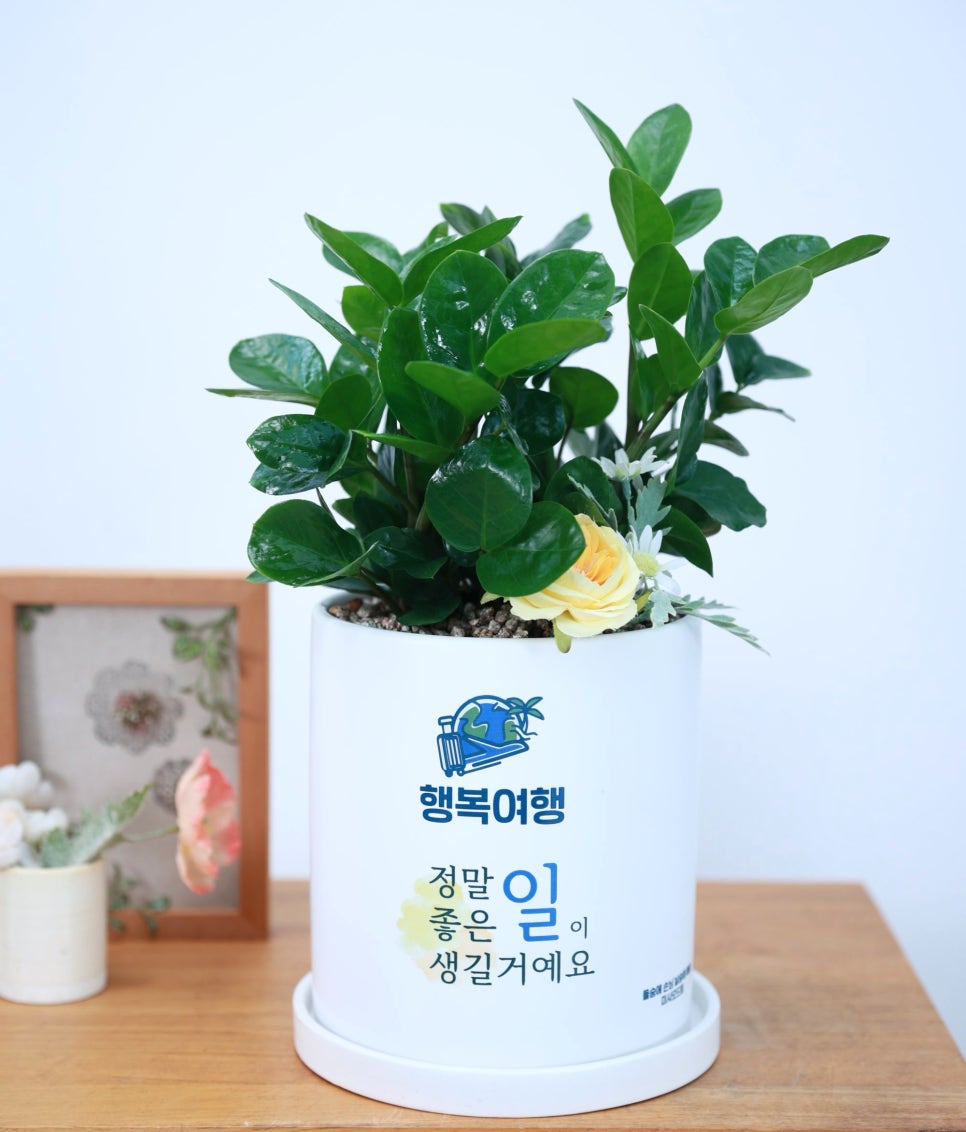 채움 여행사 이미지