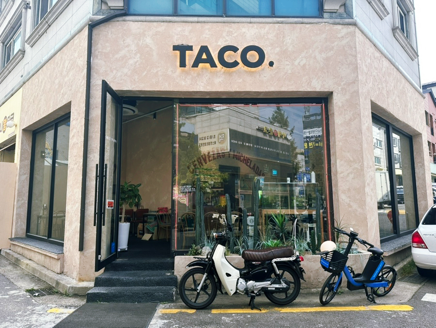 동글타코 이미지