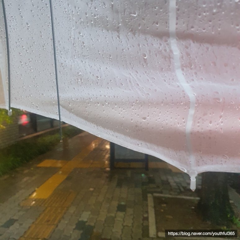 유부빚는마을 대구침산점 이미지