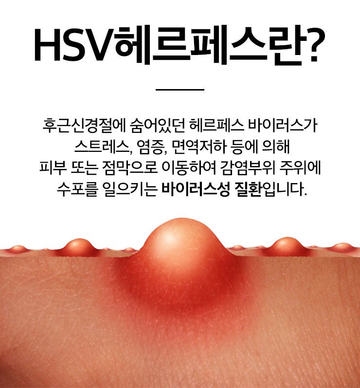 에스정보시스템 이미지