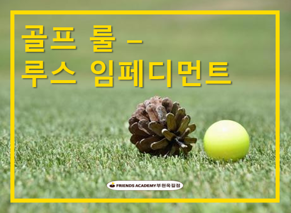 룰루스 이미지
