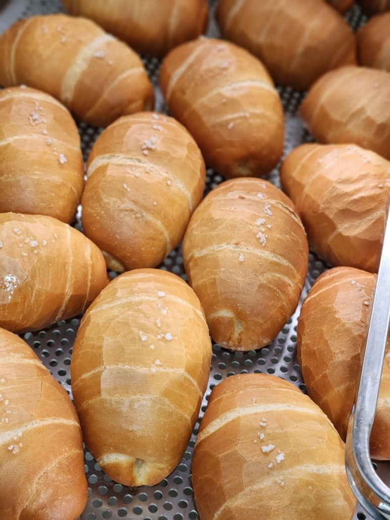 설백당 이미지