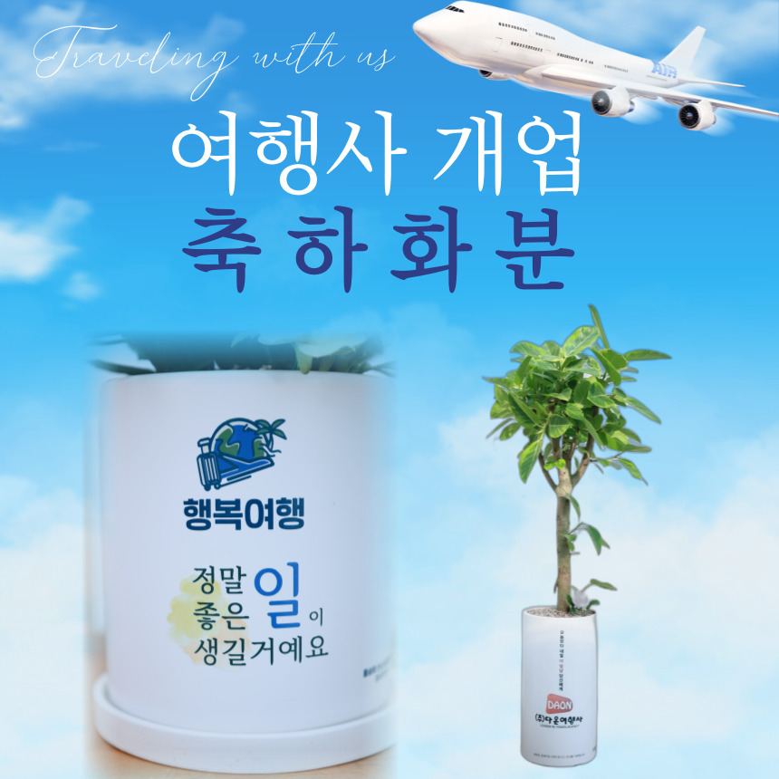 채움 여행사 이미지
