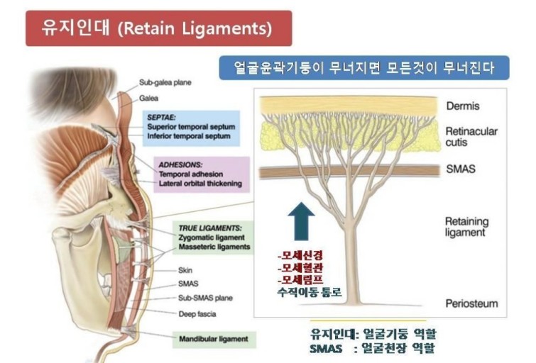 강 에스테틱 이미지