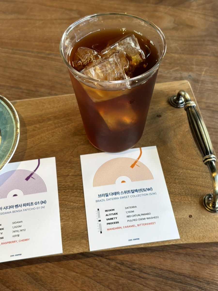 코그커피 이미지
