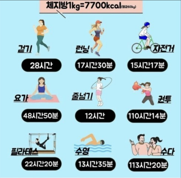 셀포랩스타 이미지