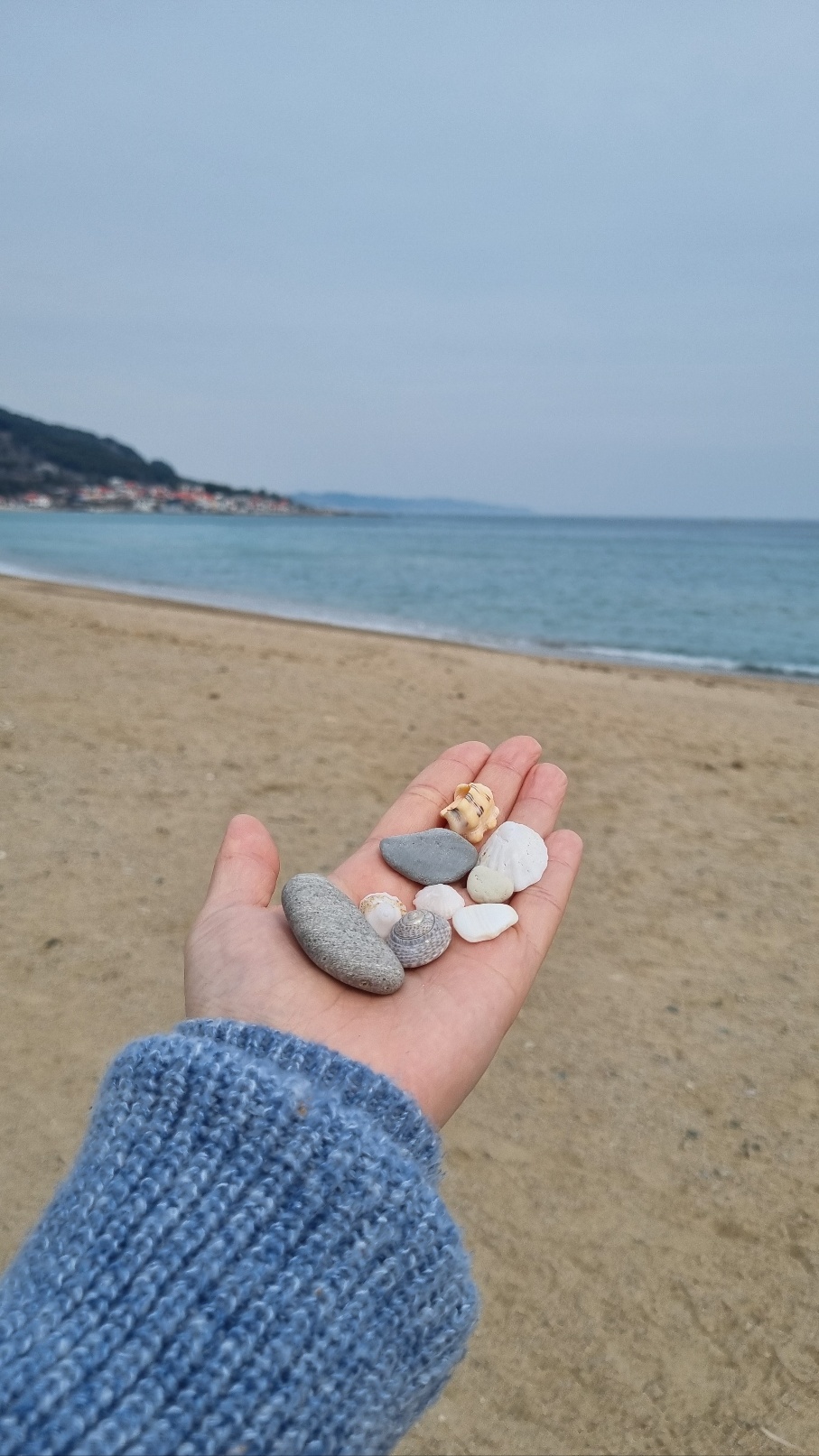 헤어퀸 이미지