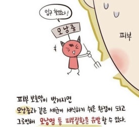 뉴제이 이미지
