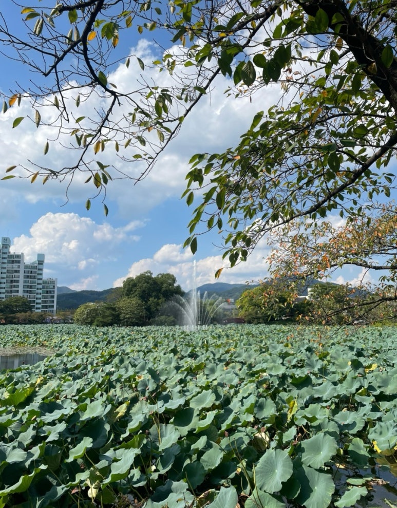오늘참예쁘다(2) 이미지
