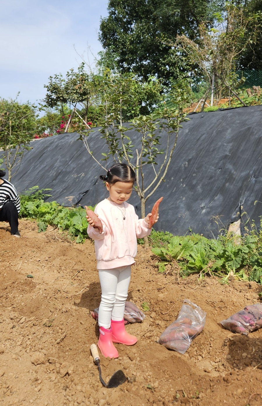 다정한농장 이미지