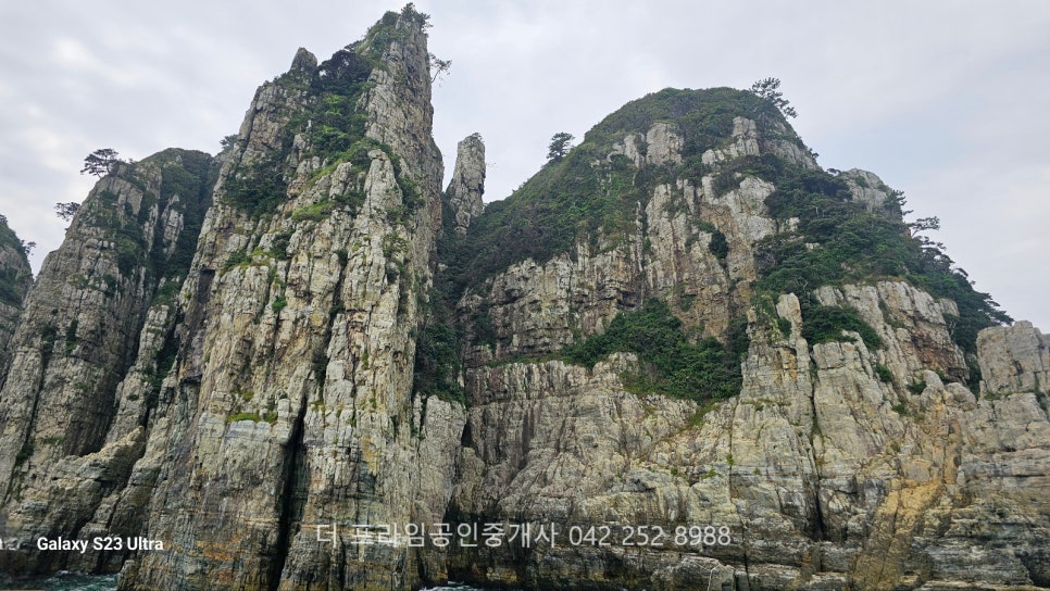 금강자연약초 이미지