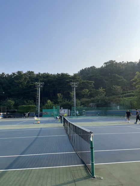 월배체육공원 이미지