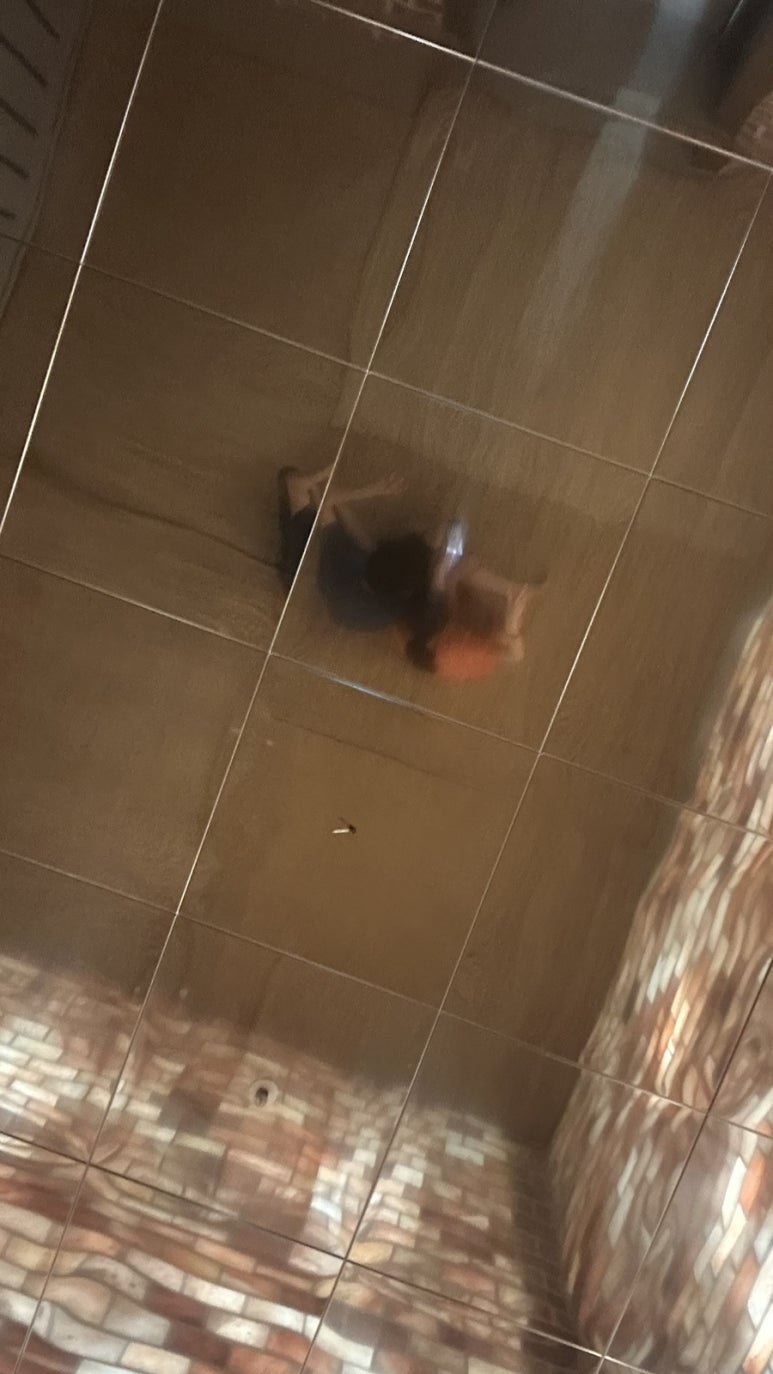 스파렉스 이미지