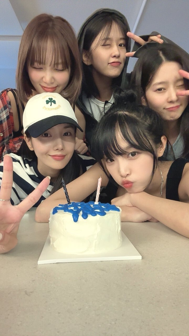 파인스 이미지