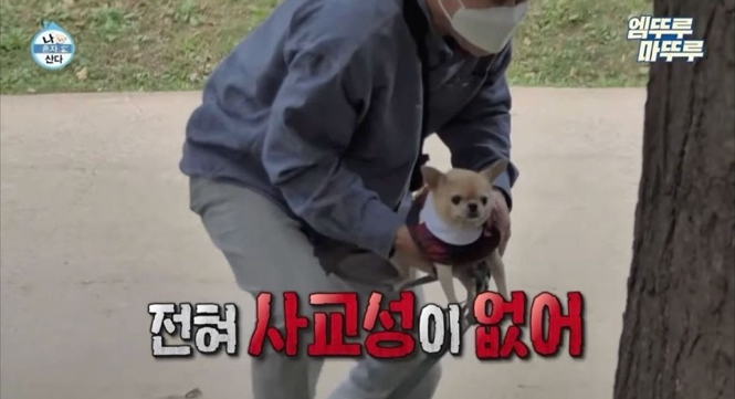 여행가고싶다 이미지