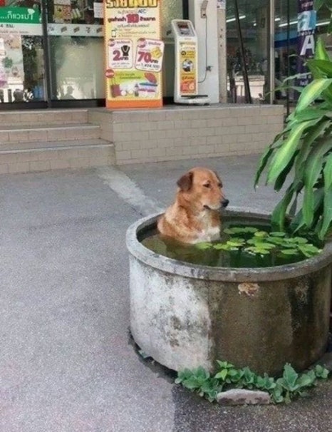 놀자 이미지