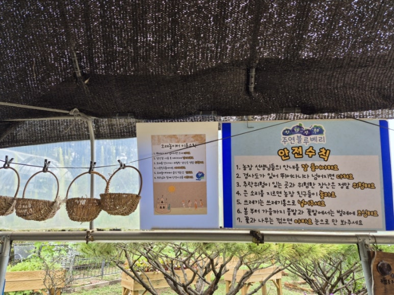 주연농장 이미지
