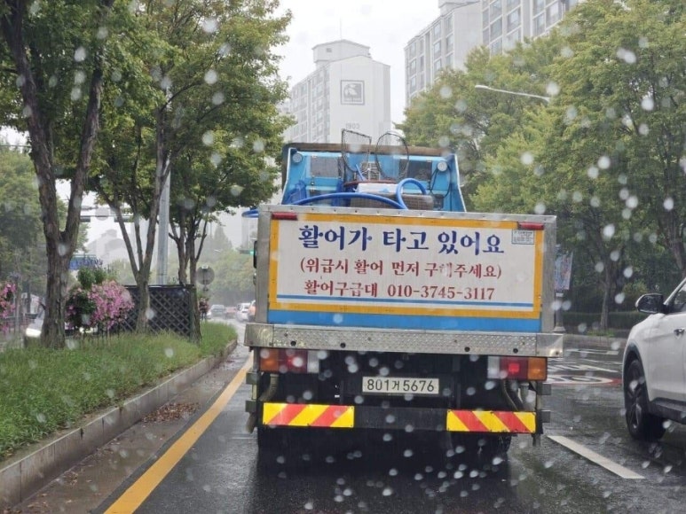 활어가 이미지