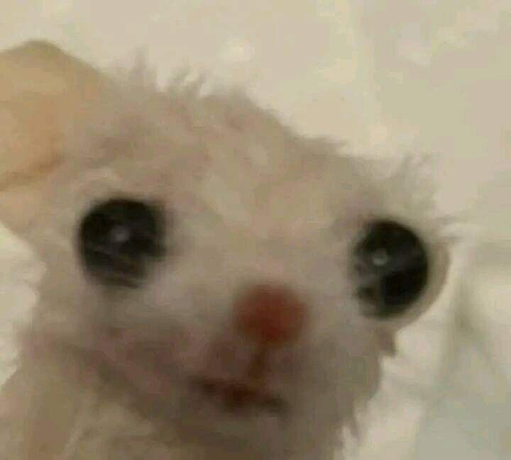 정신나감 이미지