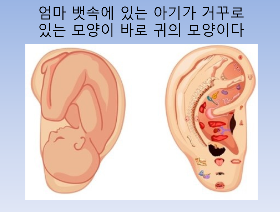 국제이침협회 이미지