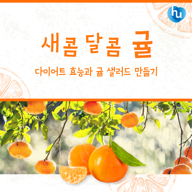 샐러드베이 이미지