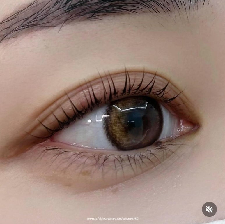 데이은 이미지