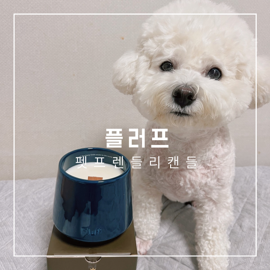캔들플래닛 이미지