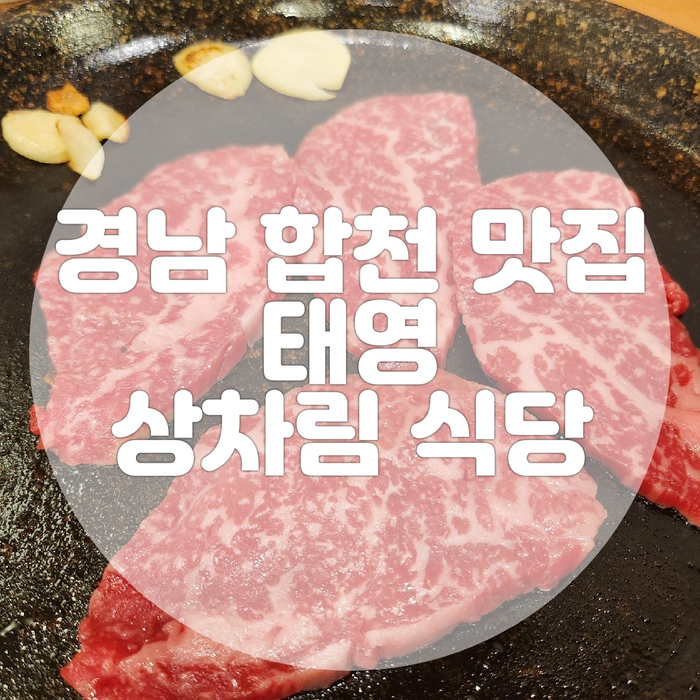 (주)태영한우 이미지