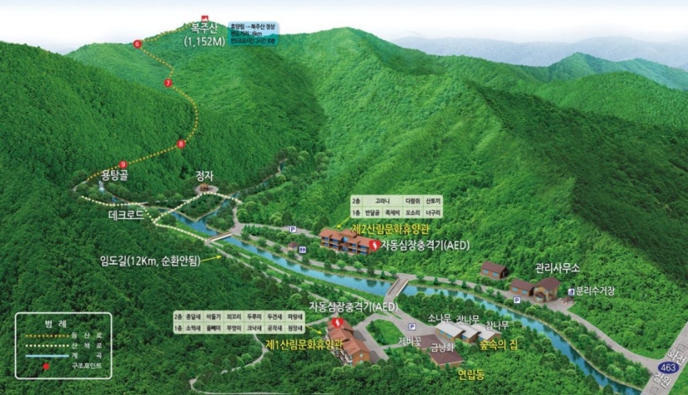 숲속의계곡 이미지