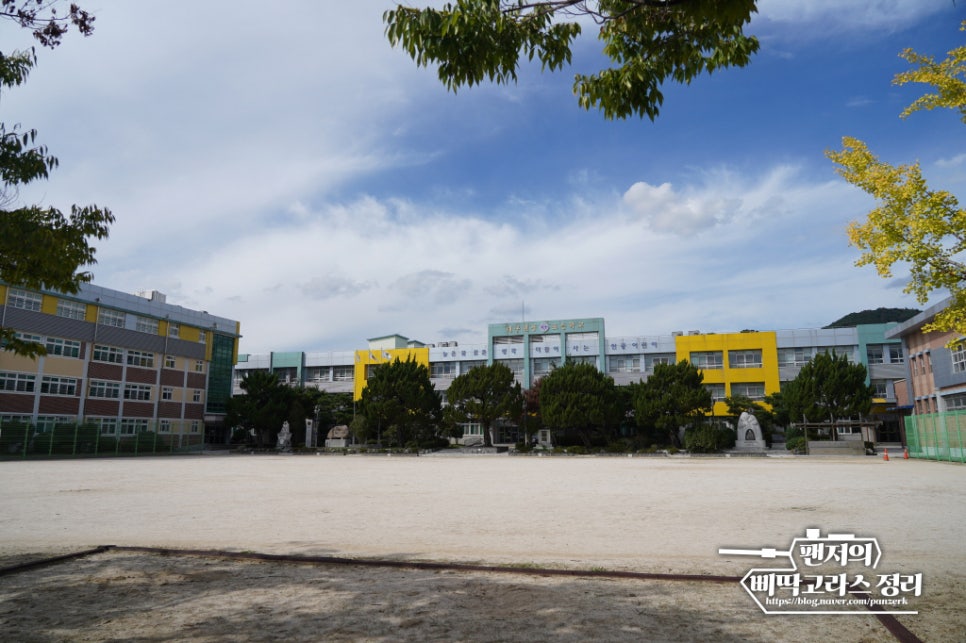 대구현풍초등학교 이미지